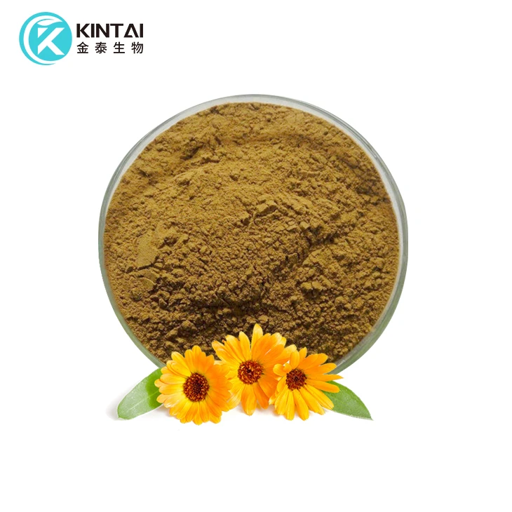 Polvere di estratto di calendula