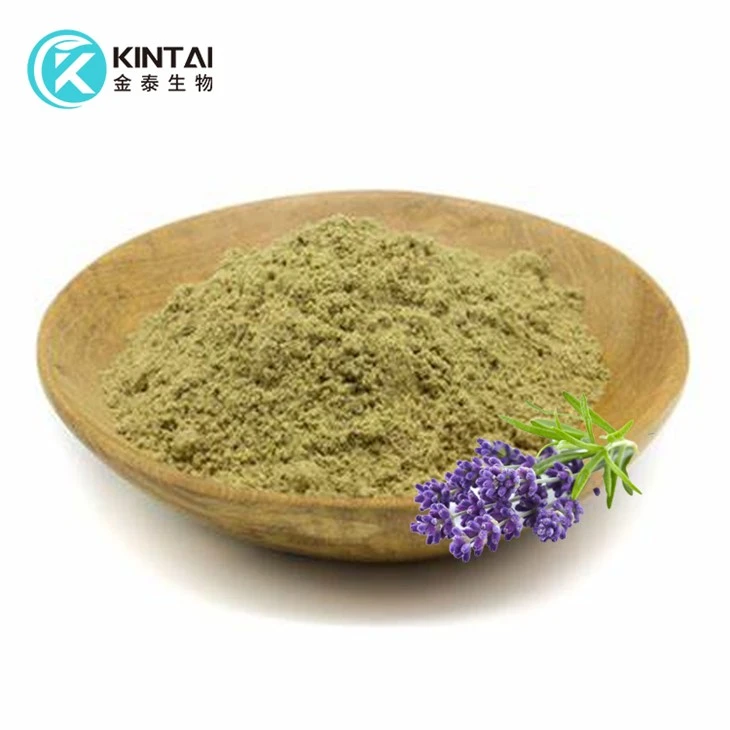 Lavender Extract Powder