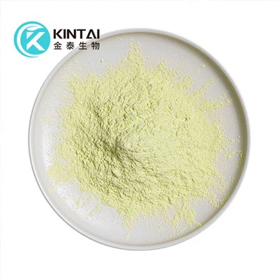 polvere di estratto di saw palmetto